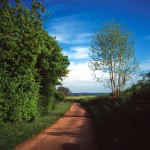 Chemin dans la campagne de Fain-les-Moutiers,